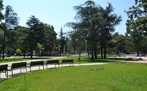 Общината обявява конкурс за пластика в парк "Розариум"