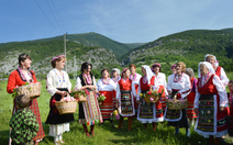 Розоберът в Ясеново отново със свободен вход – в Шипка правят възстановка на розоварене
