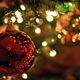 Коледната елха в Казанлък ще заблести в четвъртък