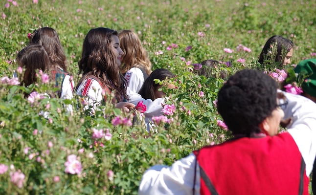 Първи розобер в село Черганово на Фестивал на розата 2017